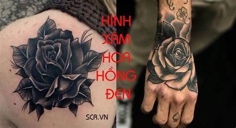 Hình Xăm Hoa Hồng Đen Đẹp Tattoo Hoa Hồng Nam Nữ