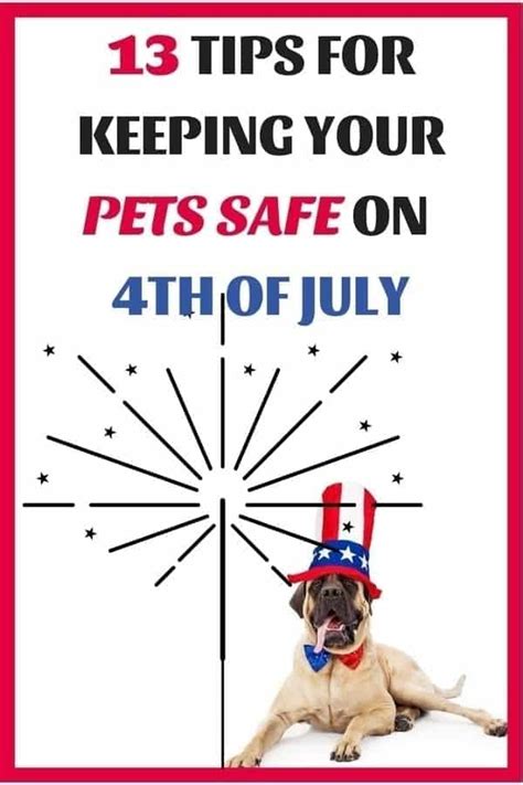 13 Ways To Keep Pets Safe 4th Of July