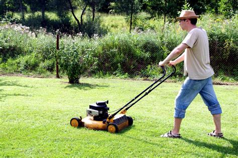 Gardening Cutting The Grass Stock Photography Image 20555452