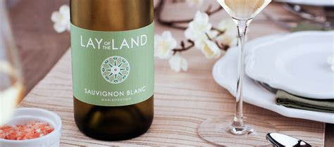 White Wine Lay Of The Land Sauvignon Blanc From Nakedwines Com