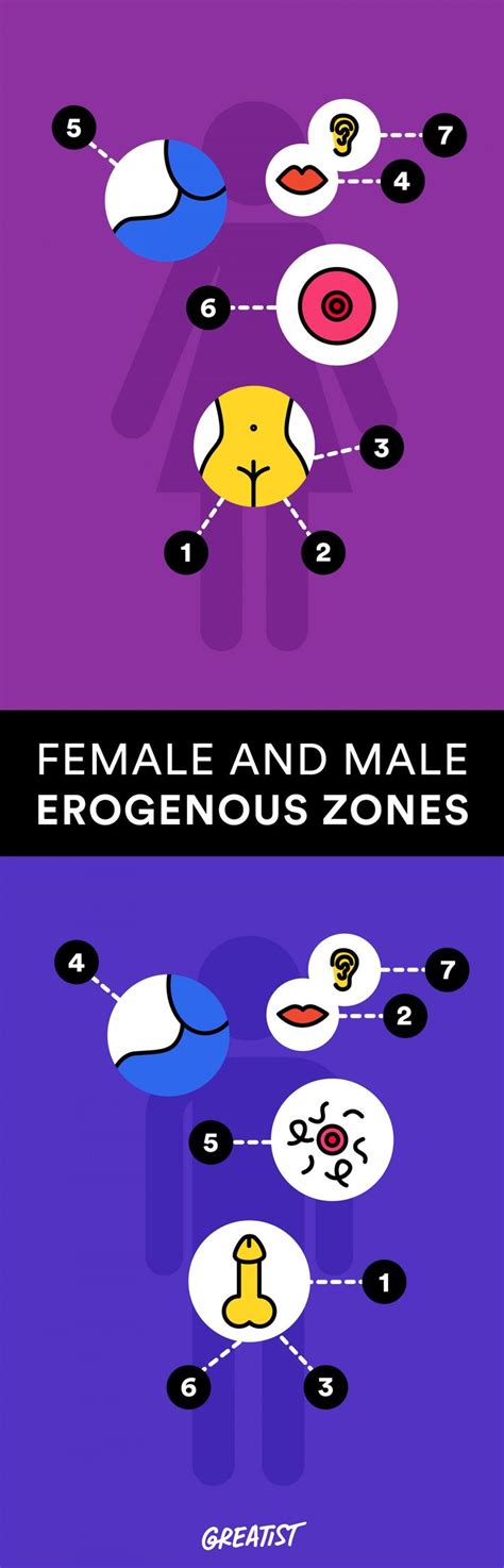 The Erogenous Zones Chart Friends