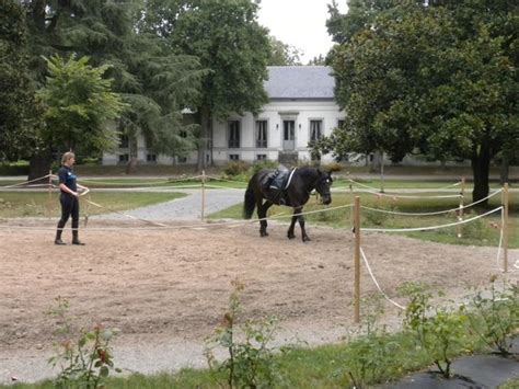 Haras National Photo De Le Haras De Tarbes Tarbes Tripadvisor