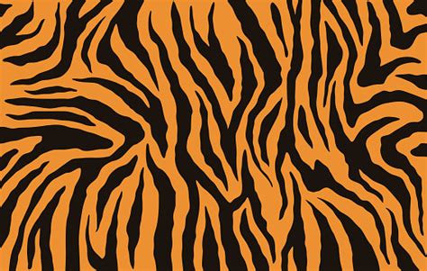 Texture Of Bengal Tiger Fur Orange Stripes Pattern Animal Skin Print