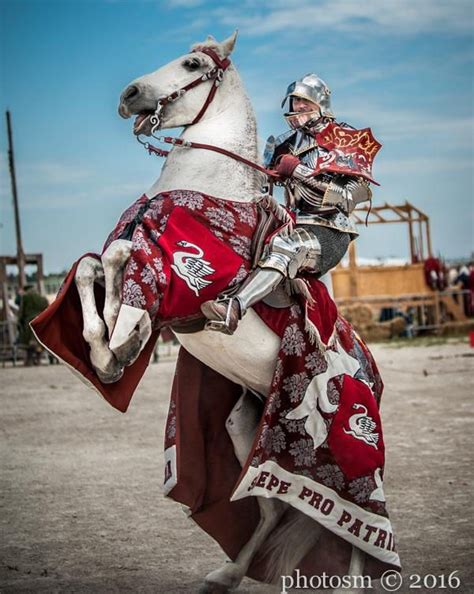 Late 15th Century Knight By Medievaljunkie Caballeros Medievales