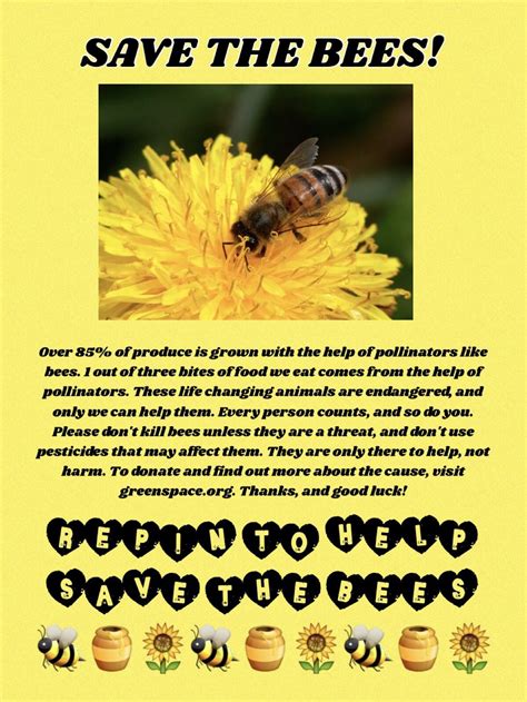 How To Save A Bees Life A Thousand Ways