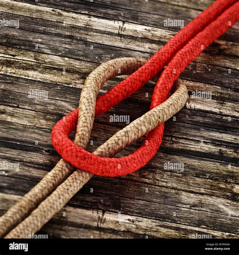 Tied Knot Rope Illustration Hi Res Stock Photography And Images Alamy