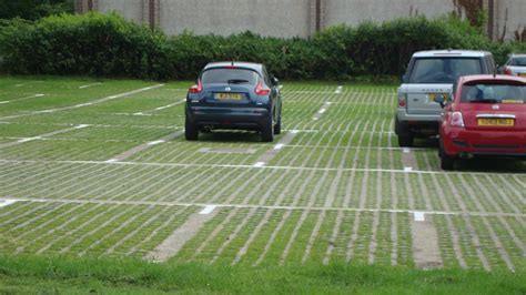 Sustainable Grass Paving Building Specification