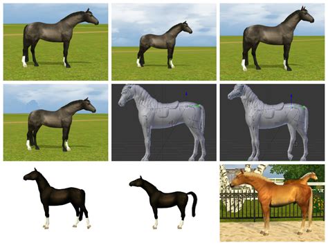 Equus Sims Cc Database Conformation Poses