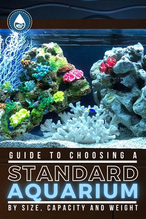 Guide To Choosing A Standard Aquarium By Size Capacity And Weight In