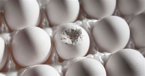 Is It Safe To Eat An Egg That Has A Broken Shell In 2020 Healthy