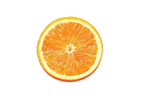 Fresh Orange Isolated On White Background Slice Orange And Full Orange