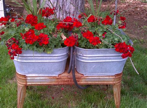 My Old Galvanized Wash Bucket Stand As A Planter Planters Garden