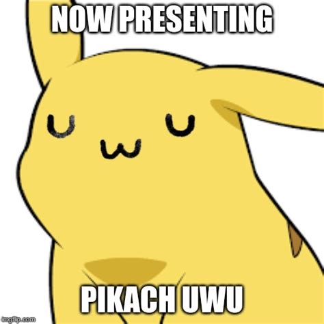 Pikachu What Happened Imgflip