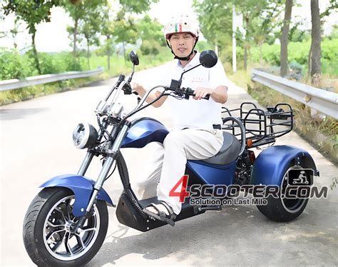 High Quality W Electric Scooter Trike Citycoco Eec China Electric