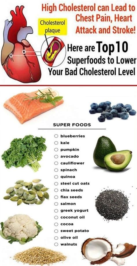Ldl cholesterol lowering by bile acid malabsorbtion during inhibited synthesis and absorbtion of cholesterol in. TOP 10 SUPERFOODS TO LOWER CHOLESTEROL | Lower cholesterol ...