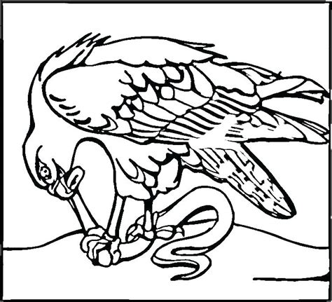 Mariners Coloring Pages at GetColorings.com | Free printable colorings