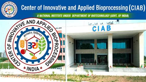 Research Associate Position In Ciab Mohali Apply By 15 June 2022