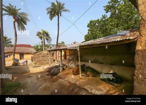 Rural Indian Village At Bolpur West Bengal With View Of Mud Hut And