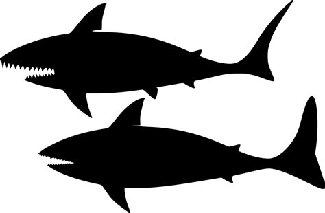 Svg Animal Shark Ocean Sea Free Svg Image And Icon Svg Silh
