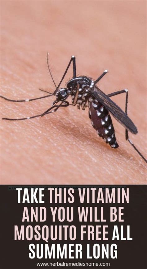 Take This Vitamin And You Will Be Mosquito Free All Summer Long