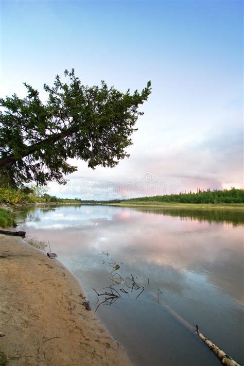 Northern Siberian River In Summer Stock Photo Image Of Mirror