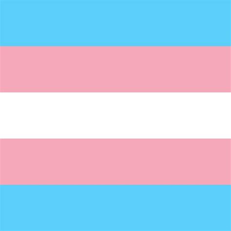 It has a black stripe in the middle instead of the original white stripe. Affirming Transgender Rights | WAMC