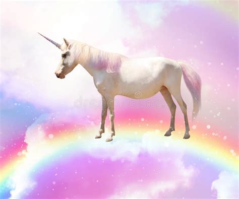 Magic Unicorn In Beautiful Sky With Rainbow And Fluffy Clouds Fantasy