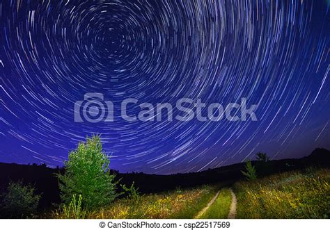 Alone Tree On Night Sky With Stars Startrails And Country Road Grass