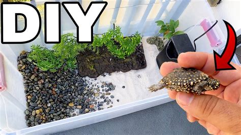 Diy Mini Plastic Bin Pond For Endangered Baby Turtles Youtube