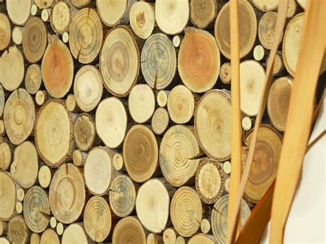 Round Wood Wall Art Tree Rounds Decor Holzwand Kunst Tree Slices