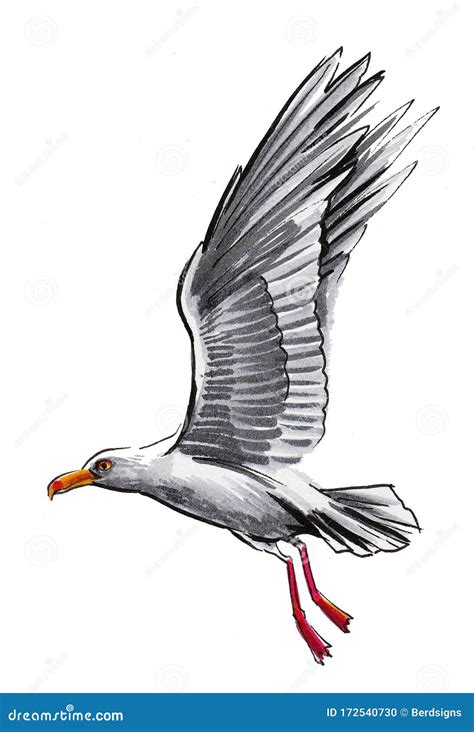 Flying Seagull Stock Illustration Illustration Of White 172540730