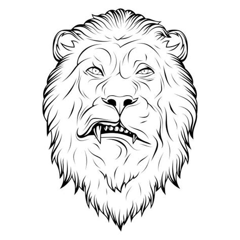 70 Lion Walking Side View Illustrations Royalty Free Vector Graphics