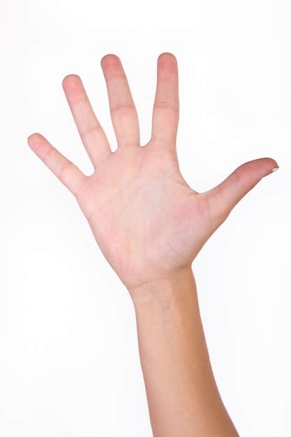 Hand With Spread Finger Photo Free Download