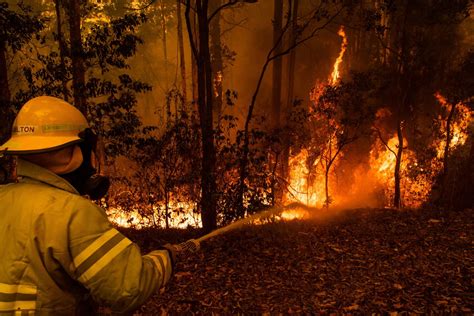 It can be an agent of destruction, especially when uncontrolled, but it also serves many beneficial functions. CARICOM extends sympathy to Australia following wildfires ...