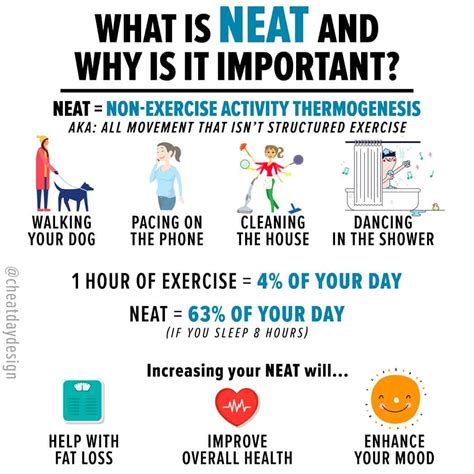 What Is Neat Non Exercise Activity Thermogenesis