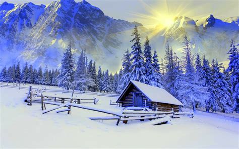 Download Sunshine Sun Mountain Snow Landscape Forest Tree Cabin House