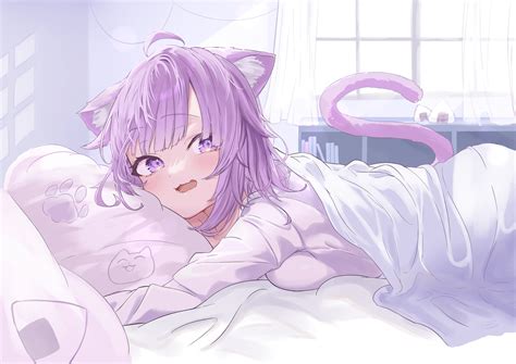 Tapety Anime Dívky Kočka Dívka Kočičí Uši Cat Tail Fialové Vlasy