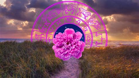 Your Special Summer Solstice 2023 Horoscope Is Here Cbc Life