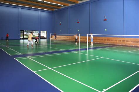 Bulutangkis atau badminton adalah suatu olahraga raket yang dimainkan oleh dua orang (untuk tiap pemain atau pasangan mengambil posisi berseberangan pada kedua sisi net di lapangan area permainan berbeda untuk partai tunggal dan ganda, seperti yang diperlihatkan pada gambar. ZerO hiDDeN SouL: B for Badminton and R for Racket