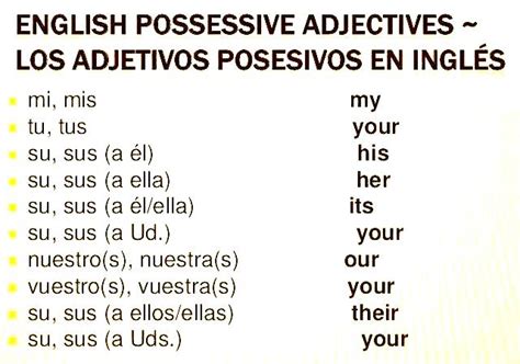 Adjetivos posesivos en inglés Aprendo en inglés