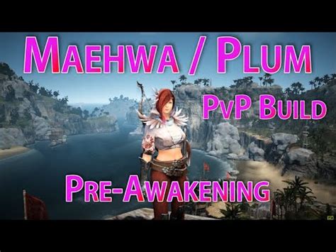 Plum/maehwa character creator for black desert online. Maehwa / Plum PvP Build | Pre-Awakening Guide | Gear, Skills, Combos | Black Desert Online - YouTube