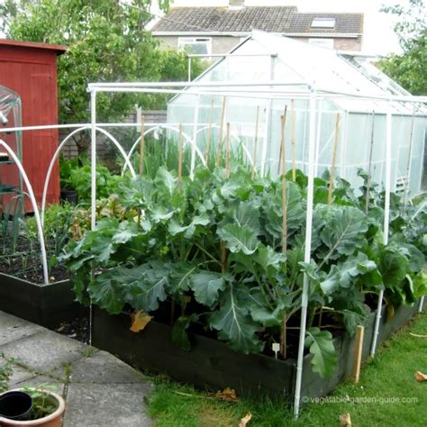Want to receive alerts when pests are. Garden Protection | Smalltowndjs.com