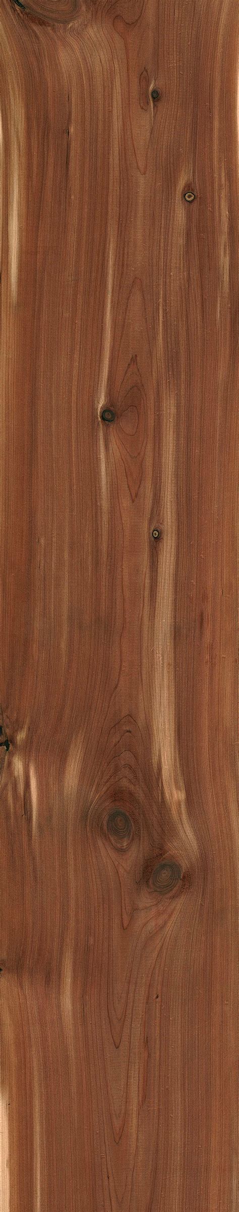 See more ideas about cedar wood projects, wood projects, cedar furniture. Aromatic Red Cedar | The Wood Database - Lumber ...