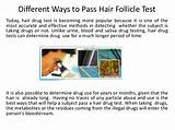 Pictures of Hair Follicle Drug Test Marijuana