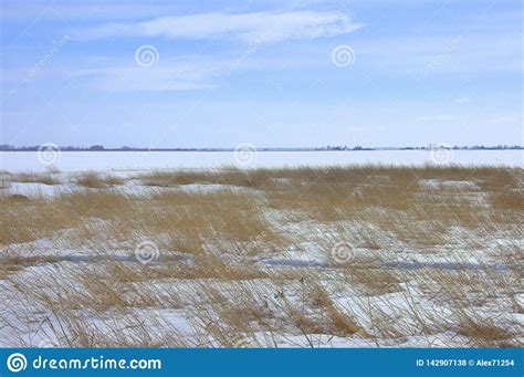 Snowy Field In Early Spring Panoramic Shot Stock Photo Image Of