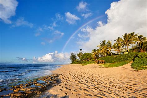 10 Best North Shore Beaches For Surfing Kids And More