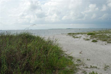Apollo Beach Nature Preserve Florida Hikes