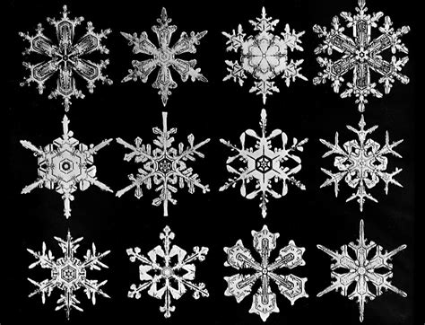 Snow Crystal Photomicrography 101 Natural History Society Of Maryland