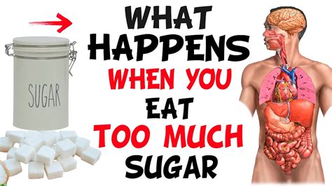 what happens if you eat too much sugar youtube