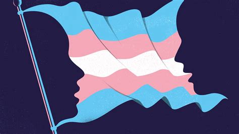 Masha Gessen On The Battle Over Trans Rights The New Yorker